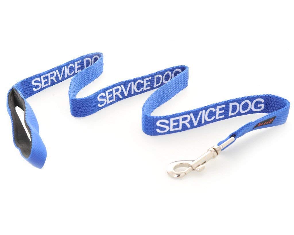 Dexil Limited SERVICE DOG Blue 60cm 120cm 180cm Padded Dog Lead PREVENTS Accidents By Warning Others of Your Dog in Advance (120cm)
