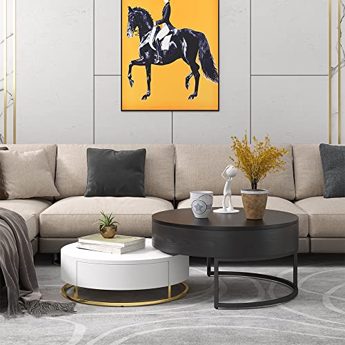 homary Round Coffee Table Storage LiftTop Wood Coffee Table Lifts up