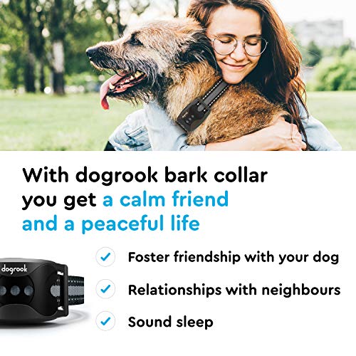dogrook bark collar