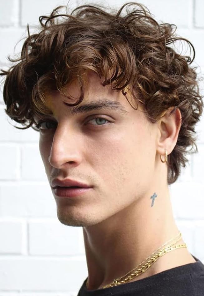 Salaibs Brown Short Curly Wig for Men Synthetic Natural Fluffy Male Hair Cap Wig Daily Party Use