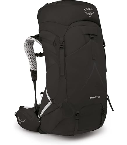 Osprey Aether Plus 70L Men's Backpacking Backpack, Axo Green, S/M : Sports & Outdoors