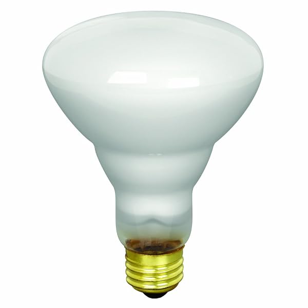 ElSalvadorYA.com: Feit Electric 65BR30/FL/15K Decade 65-Watt R30 ...