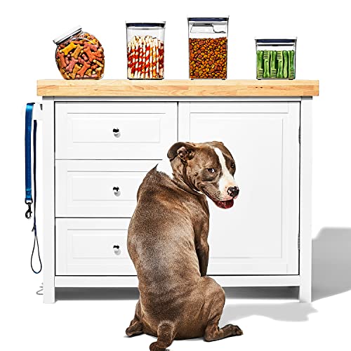 OXO Good Grips Pet POP Container 2.8 Qt/2.6 L Ideal for up to 3lbs