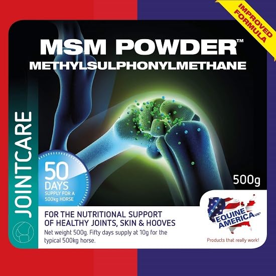 Equine America MSM Powder | Premium Ready To Use Horse & Pony Supplement | Support For Joints | 500g