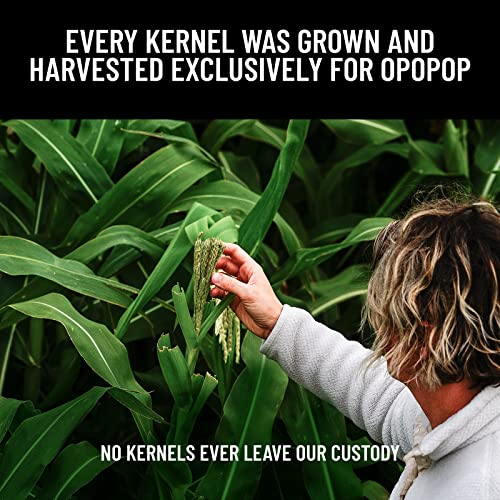 Opopop Microwave Popcorn Variety 12Pack Gourmet Popcorn Kit