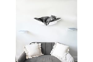 bqw Floating Cat Shelf Wall Mounted Cat Bed Furniture Climbing Wall for Cat Perching Sleeping Lounging with 2 Steps (Curved)