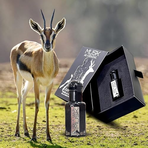 Black Musk I Al Ghazal Deer Musk I Alcohol-free attar oil for men women I  Pure natural attar oil with long-lasting scent price in UAE | Amazon UAE |  kanbkam