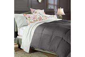 SILENTNIGHT Comforter - 100% Egyptian Cotton 800 Thread Counts 400 GSM Fiber Fill 1 Piece Comforter Size, King/California King (94" x 104") Dark Grey Stripe