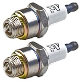 Briggs & Stratton 796112-2pk Spark Plug