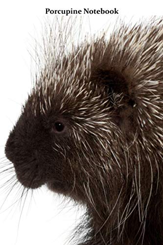 Porcupine Notebook: Porcupine notebook blank pages - Journal to write in - 120 pages - 6"x9"