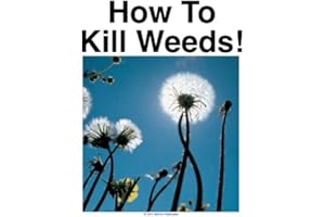 Lawn Care | Fertilizer | Grass | How To Kill Weeds!