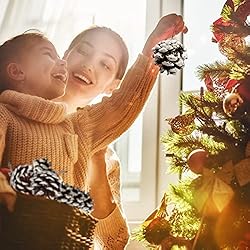 24 PCS Pine Cones for Christmas Tree Snowflake