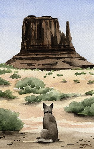 Australian Cattle Dog Dog 11 x 14 Art Print by Watercolor Artist DJ Rogers