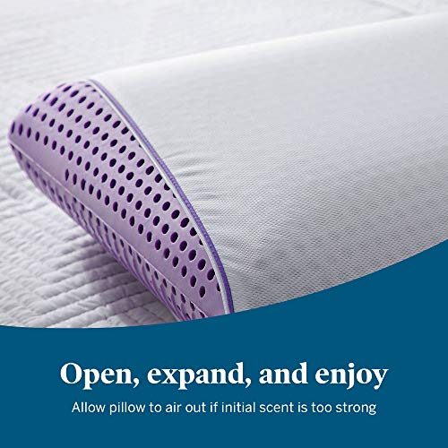 LUCID Eucalyptus Scented Refreshing Plush Memory FoamSide, Back, and