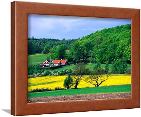 ArtEdge Rape Fields and Forests Surrounding Farm House on Kulla Peninsula, Skane, Sweden by Anders Blomqvist, Brown Wall Art Framed Print, 9x12, Unmatted