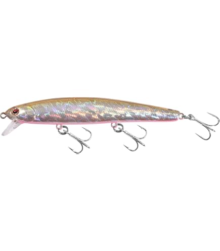 Milepetus Double-Sided Fishing Lure Hook Tackle Box Visible Hard Plastic Clear Fishing Lure Bait Squid Jig Minnows Hooks Accessory Storage Case Container (Clear-10 Slots) : Sports & Outdoors