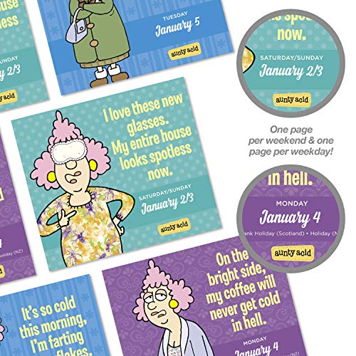 2021 Aunty Acid YearInABox Calendar (LMB2620021) Pricepulse