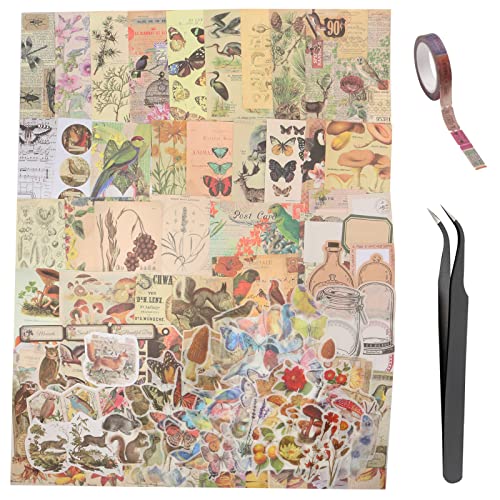 280Pcs Vintage Scrapbooking Supplies, Aesthetic Scrapbook Stickers Washi Paper Kit, Bullet Journaling Supplies Junk Stamping Planner Ephemera Collage Journals (Forest)