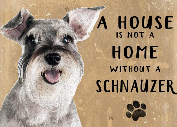 Small (150 x 200mm) Metal Sign - A House is Not a Home - Schnauzer