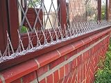 Primrose Anti Bird Spikes 50m Pack 150 Strips Polycarbonate Stop Birds view 1