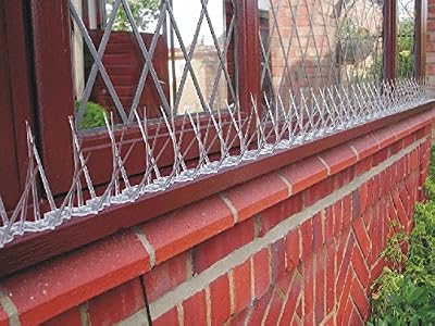 Primrose Anti Bird Spikes 50m Pack 150 Strips Polycarbonate Stop Birds