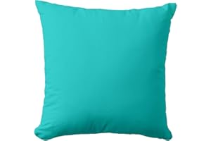 Teal Peacock Blue Outdoor Throw Pillow Cover 18 x 18inches Square Decorative Pillow Cases for Sofa Couch Bed (Pillow Insert N