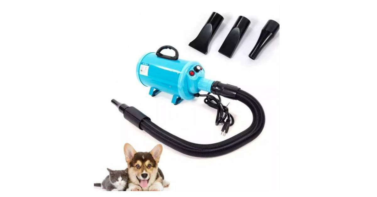 Gravitis 2800W Stepless Speed Dog Cat Pet Grooming Hair Dryer Hairdryer Blaster Blower (LightBlue)