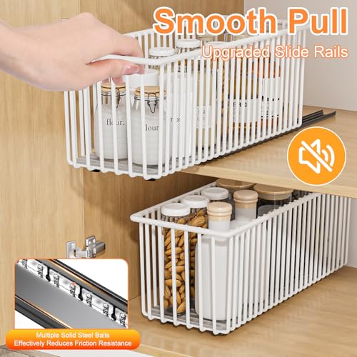 Diealles Shine 2 x Pull Out Drawer Storage Shelves