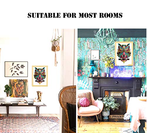 Diamond Painting Kits for Adults, 5D Full Drill Round Gem Paint Kit by Numbers, Colorful Owl Arts Craft for Home Wall Decor (Green, 11.8Wx15.7L)