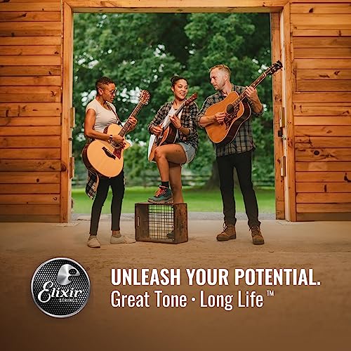 Elixir Strings Acoustic Phosphor Bronze with NANOWEB Coating Elixir