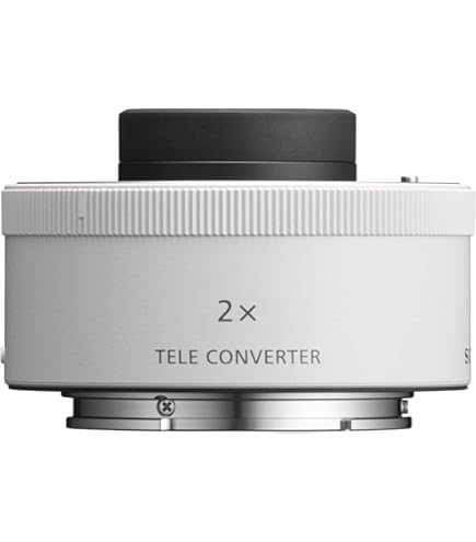 Sony 200 600mm Sony A7iii For Wildlife Photography Sony A7iii Sony