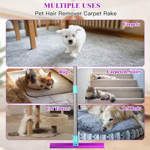 Carpet Rake with 57" Long Handle for Dog Hair Remover,Double Sided,Push or Pull,Easy to Work,Upgrated Carpet Brush for Pet Hair,Reusable Lint Rollers