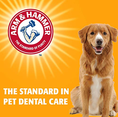 ARM & HAMMER FOR PETS DOG DENTAL BREATH MINTS WITH BAKING SODA, CHICKEN FLAVOR DENTAL TREATS TO HELP FRESHEN DOG BREATH AND SUPPORT ORAL CARE, FRESH MINT SCENT, 1.7 OZ