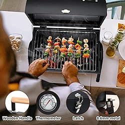 Portable Charcoal Grill, HaSteeL Small Folding