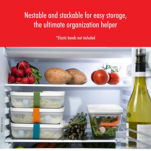 ZWILLING Fresh & Save Flat Lunch Box Large, Airtight Food Storage
