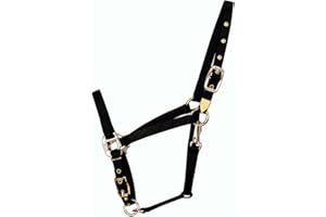 Hamilton 8DAS AVBK 3/4-Inch Nylon Arabian Horse Halter for 800 to 1100-Pound Horse, with Adjustable Chin and Throat Snap, Bla