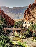 Notebook: Biskra Algeria Algiers Tunisia Morocco Africa French Language North African by Wild Pages Press