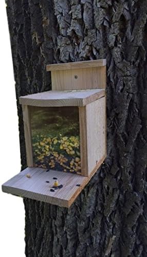Munch Box Squirrel Feeder, Exciting and Fun Way to Feed Squirrels, Keeps Squirrels Away From Bird Feeders