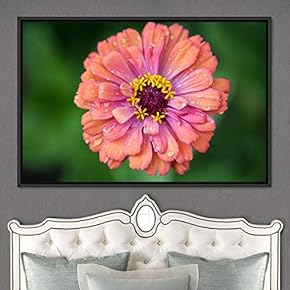 signwin Framed Canvas Wall Art Flora Snapshot Closeup...