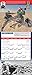 Marines Chronology Wall Calendar 2018