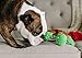 Fetch Pet Products Hatchables Interactive Hide and Seek Puzzle Plush Dog Toy, Inside Out and Reversible, Hides Treats and Kibble, Egg and Animal 2 in 1 Squeaky Toy Turtle