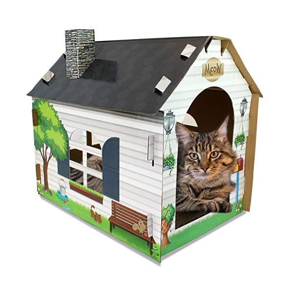 Best Cat House And Scratcher 2020