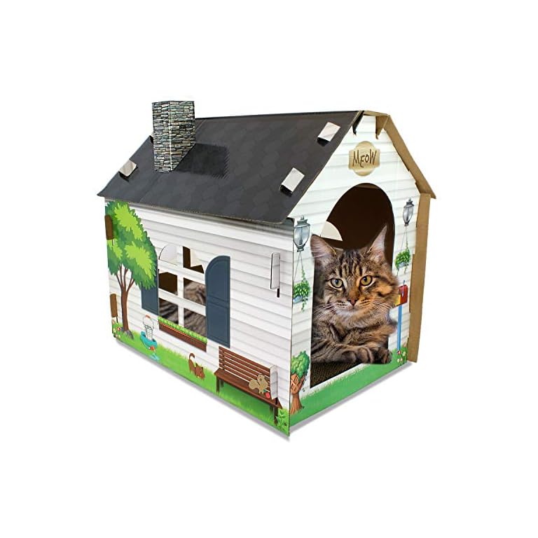 Best Cat House And Scratcher 2020