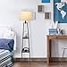 Catalina Lighting 19305-000 Modern Etagere Floor Lamp with Shelves, Standing Lamp, Living Room Light with Shelving, LED Bulb NOT Included, 58