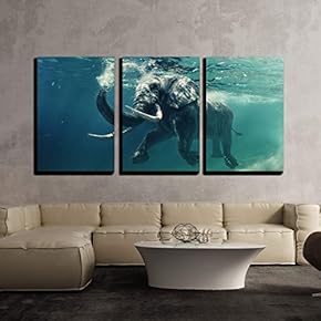 Underwater African Elephant - 3 Panel Canvas Art