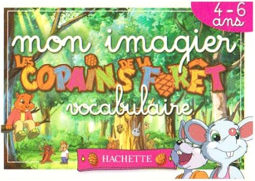 Download Mon imagier vocabulaire : 4-6 ans PDF