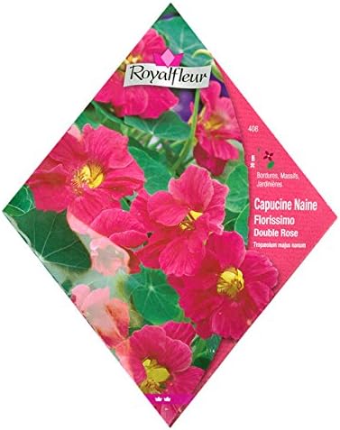 Amazon 春 秋まき 花タネ フランス花の種 ナスタチューム フロリッシモダブルローズ 花