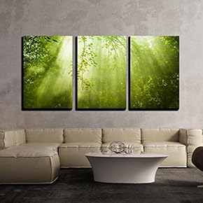 3 Piece Canvas Wall Art - Rays of Sunlight and Green Forest - Modern Home Art Stretched and Framed Ready to Hang - 16"x24"x3 Panels