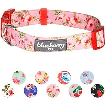 Blueberry Pet 8 Patterns Spring Scent Inspired Floral Rose Baby Pink Dog Collar, X-Small, Neck 7.5