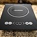 INDUXPERT Portable Electric Induction Cooktop Countertop Burner 9100 (Magnetic Cookware Only)